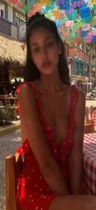 buyukdere caddesi escort